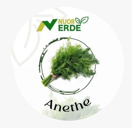 anethe