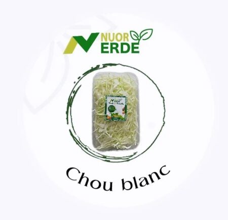 chou blanc
