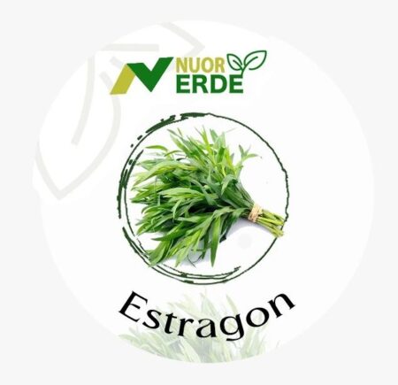 estragon