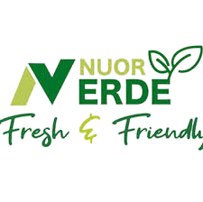 nuor-removebg-preview