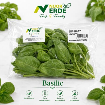 Basilic