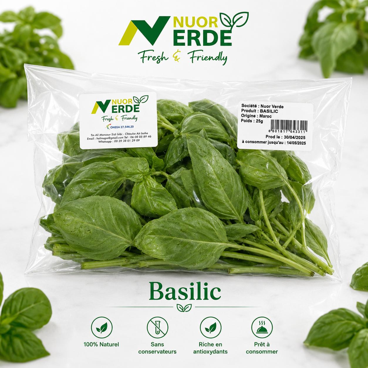 Basilic